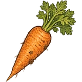 Carrots