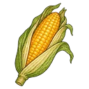 Corn