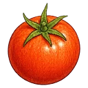 Tomatoes